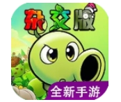 ֲ���ս��ʬ�ӽ������ð�����_ֲ���ս��ʬ�ӽ����ֻ����ð�����